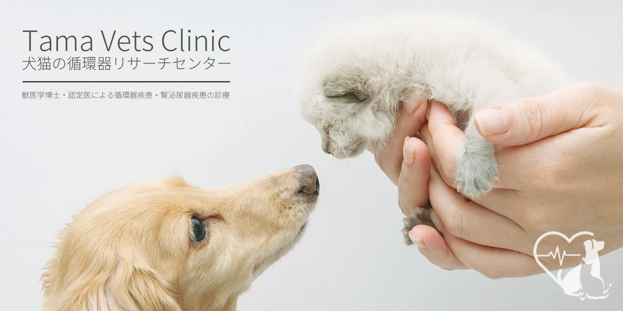Tama Vets Clinic（タマベッツクリニック） / 犬猫の循環器リサーチ