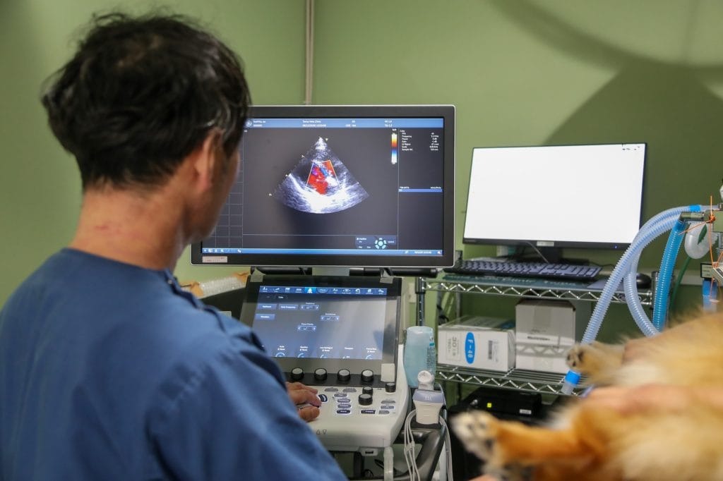 循環器科